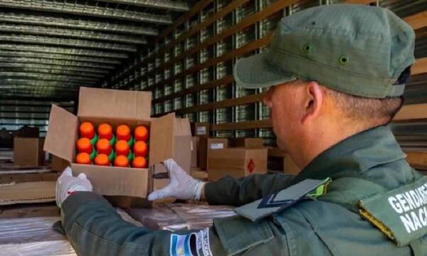 Interceptan camión paraguayo que llevaba 338 kilos de marihuana entre repelentes en Argentina – Prensa 5