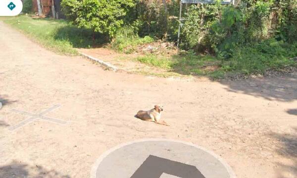 Los hallazgos más curiosos en Google Street View desde su llegada a Paraguay – Prensa 5