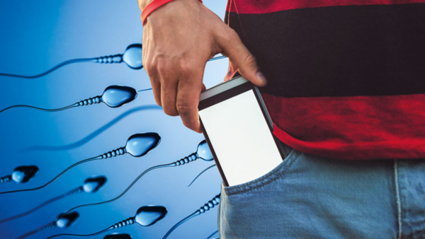Llevar el celular en el bolsillo podría poner en riesgo la fertilidad masculina