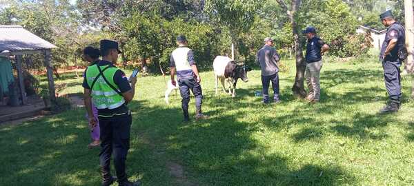 Policía recupera animal hurtado, y se produjeron varias aprehensiones en Guairá