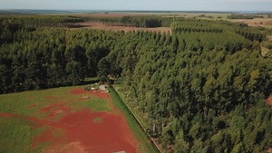 Lanzan Plan Nacional de adaptación agrícola y forestal