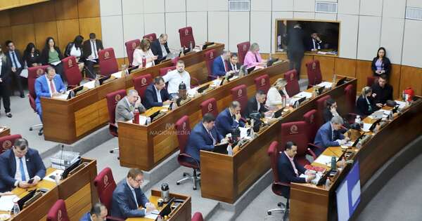 La Nación / Senado: crearán bancada B de Honor Colorado