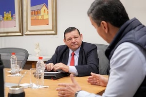 Indert: Senado oficializa interpelación a Ruiz Díaz