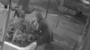 Doña llegó en auto y hurtó dos planteras de una vereda en Paraguarí