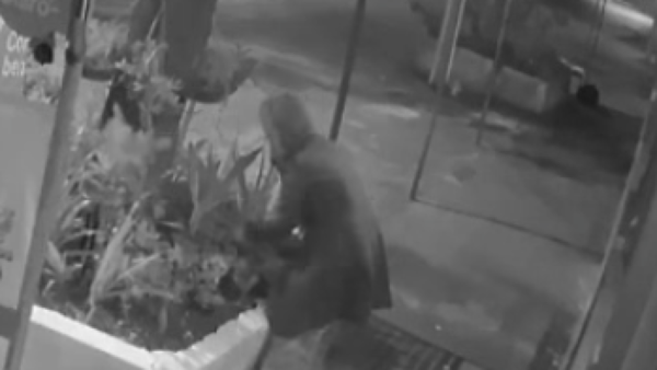 Doña llegó en auto y hurtó dos planteras de una vereda en Paraguarí