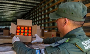 Gendarmería Argentina intercepta carga paraguaya con 338 kilos de marihuana camuflado entre frascos de repelente - OviedoPress