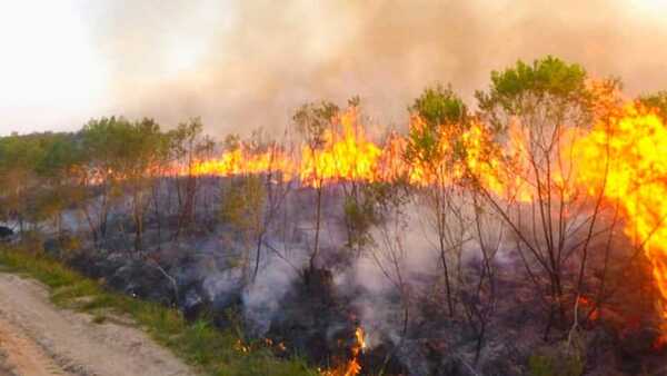 Asociación revela alarmante deforestación del Parque San Rafael y denuncia abandono del Estado