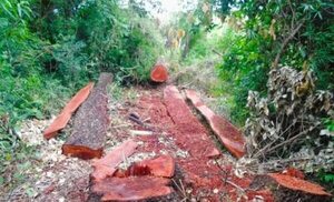 Pro Cosara denuncia acelerada degradación en San Rafael