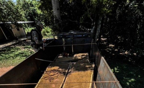 Interceptan camión con madera extraída de la Reserva Mbaracayú