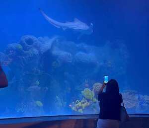 Uno de los acuarios más grandes de Latinoamérica fue habilitado en la Triple Frontera - ABC en el Este - ABC Color