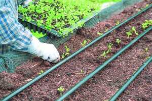 Temporal Deja 434 Familias Dañadas en San Pedro