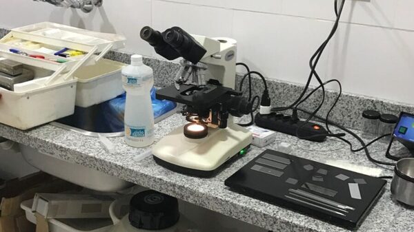 El primer centro genético ovino permitirá importar y producir material genético de alta calidad