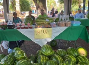 Popular / Oĩma la sandía más grande y más rica en Cordillera