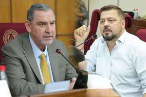 En medio de crisis interna, Zacarías Irún y Colym Soroka disputan presidencia de la Comisión Permanente  - Política - ABC Color