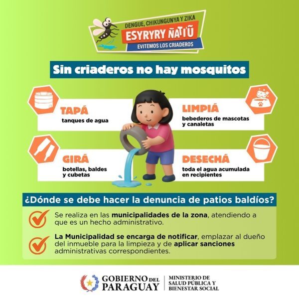 Dengue: leve aumento de notificaciones en 14 regiones del país