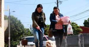 La Nación / Paraguay habilitará el primer hospital público para animales