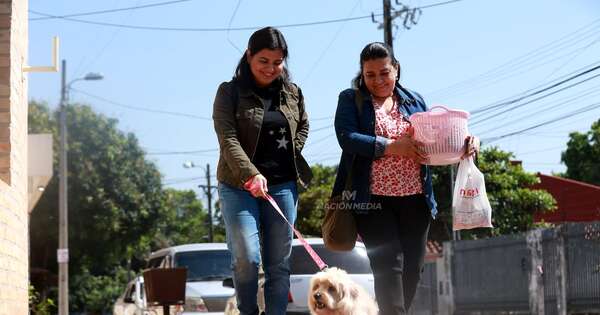 La Nación / Paraguay habilitará el primer hospital público para animales