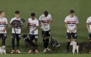 Popular / Damián Bobadilla umía salieron a la cancha acompañados de perritos