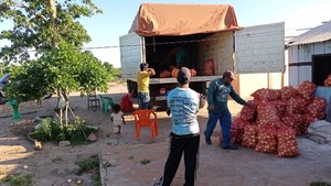 Comunidades indígenas comercializan cebolla de bulbo en el Abasto Norte con apoyo del MAG - ADN Digital