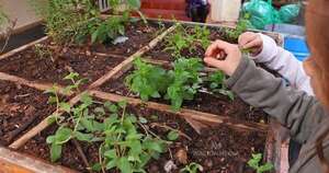 La Nación / Ninguna escuela puede exigir informes médicos para inscribir a chicos con discapacidad, aclara MEC