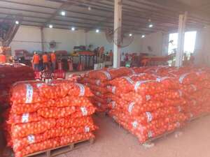 Productor de Itacurubí del Rosario tiene más de 1.600.000 kilos de cebolla que no puede comercializar por culpa del contrabando - Nacionales - ABC Color