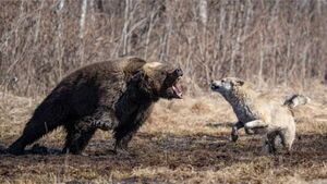 El instinto materno secuestrado por la política