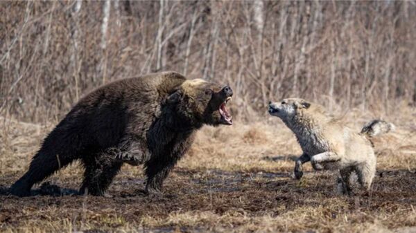 El instinto materno secuestrado por la política