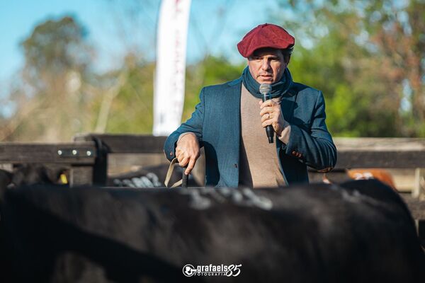“Vamos hacia mercados de haciendas más escasos y de precios firmes”, la visión de Maisonnave sobre el negocio ganadero