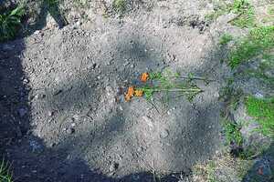 Buscan a más de 120.000 Desaparecidos México