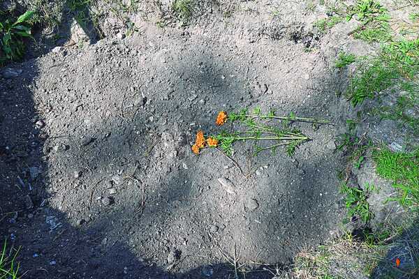 Buscan a más de 120.000 Desaparecidos México