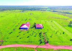 Senabico Pierde Batalla: No Venderá Estancia Narco