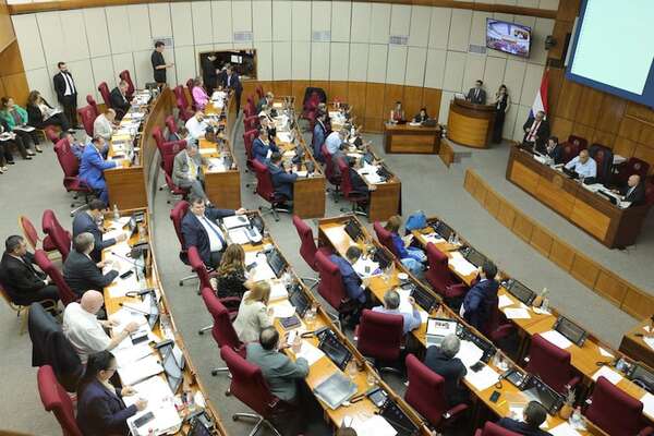 PGN 2026: Senadores cuestionan despilfarro en empresas públicas deficitarias - Economía - ABC Color