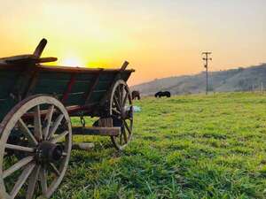 Por esto deberías visitar estancias rurales y granjas educativas estas vacaciones - Viajes - ABC Color