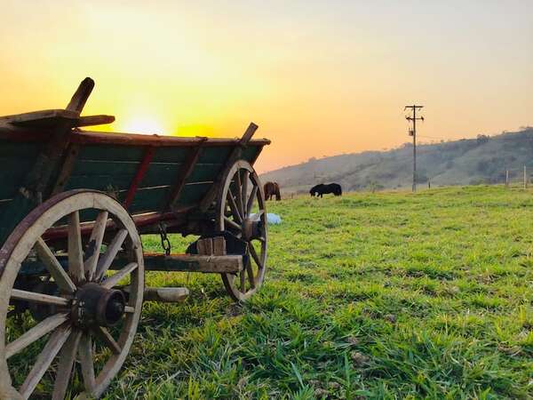 Por esto deberías visitar estancias rurales y granjas educativas estas vacaciones - Viajes - ABC Color