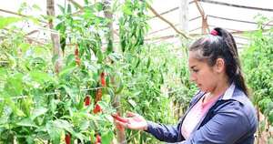 Diario HOY | Una historia de superación, con un empujoncito formativo y financiero