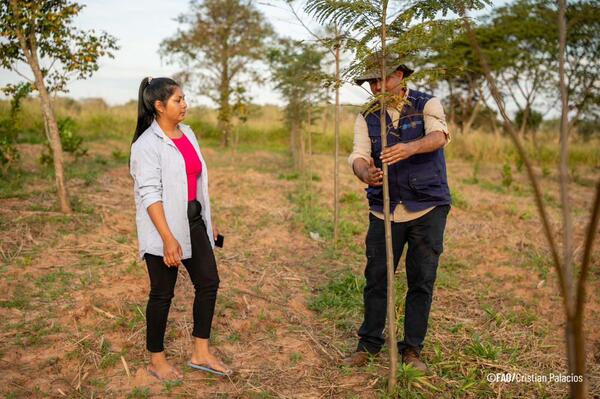 A través de Proeza, comunidades nativas y rurales construyen un futuro sostenible en Paraguay - trece