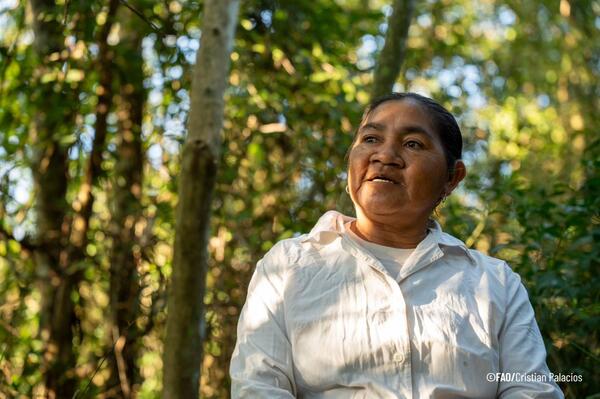 Proyecto Proeza: comunidades nativas y rurales restauran bosques y construyen un futuro sostenible | Unicanal