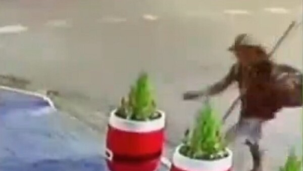 Nuevamente roban plantas y hasta decoraciones navideñas de una tienda en Asunción