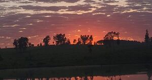 La Nación / Una unidad vital