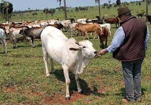 Brechas críticas entre rubros  debido a pagos por debajo de sueldo mínimo - Economía - ABC Color