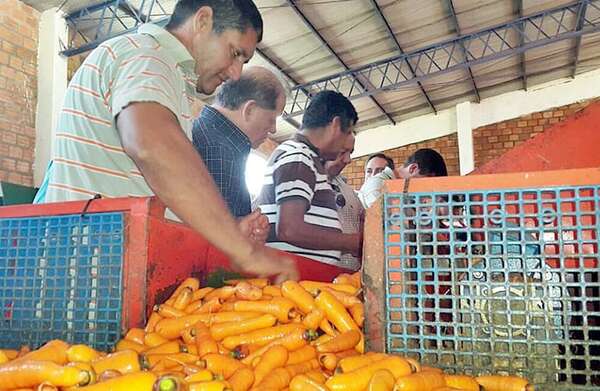 Algunos sectores crecen, pero la mayoría de la gente no percibe mejoras - Económico - ABC Color