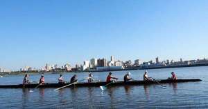 La Nación / “Remar cerca de las aves es una sensación indescriptible”