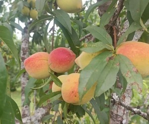 La Colmena Apunta a Ventas Récord de Fin de Año