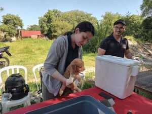 Primer Hospital Veterinario Público en Paraguay