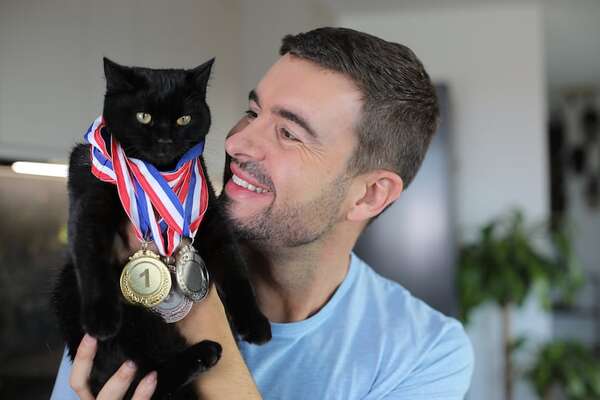 Entrenamiento de gatos: cuatro trucos que tu felino puede aprender hoy mismo - Mascotas - ABC Color