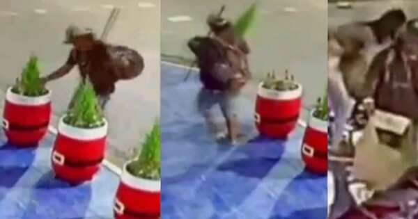 La Nación / Denuncian que se roban plantas y hasta decoración navideña en el microcentro capitalino