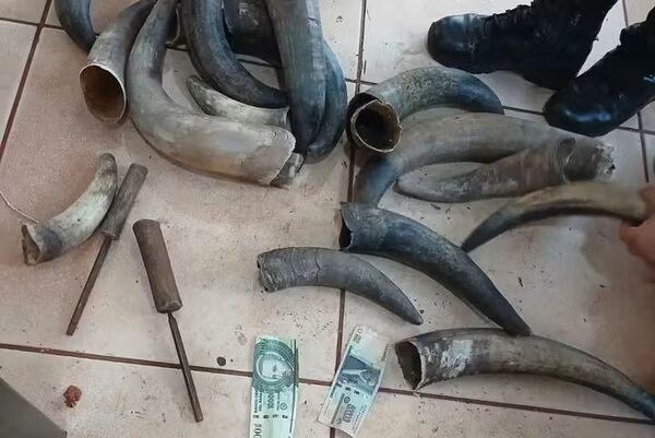 Incautan objetos prohibidos durante un control en el Cereso de Minga Guazú