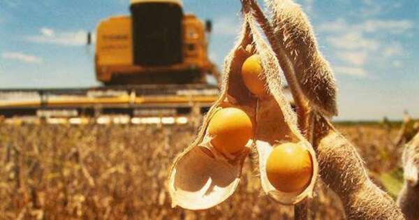 La Nación / Agro cierra un año dividido por resultados dispares entre el sur y el norte