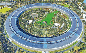 Burbuja IA Causa Despidos y Fuga de Talento en EE. UU.