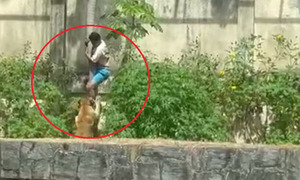 Tragedia en zoológico de Brasil: joven muere tras ingresar a jaula de leona - OviedoPress